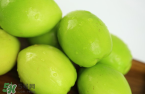 青棗吃多了會胖嗎？吃青棗會不會發(fā)胖？