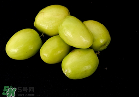 吃青棗可以減肥嗎？減肥可以吃青棗嗎？