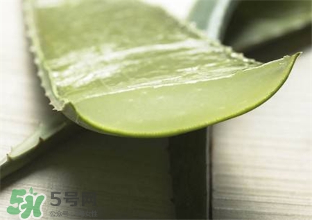 蘆薈敷臉后要洗臉嗎?蘆薈敷臉多長時間洗掉? 蘆薈敷臉后要洗臉嗎?蘆薈敷臉多長時間洗掉?