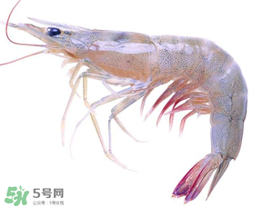 蝦變綠了能吃嗎？凍蝦變綠了能吃嗎？