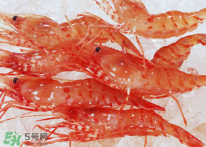 蝦凍了一年還能吃嗎？蝦凍了半年還能吃嗎？