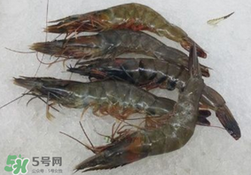 青蝦變黑了還能吃嗎？青蝦為什么變黑？