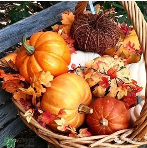 豆沙色和南瓜色的區(qū)別 豆沙色和南瓜色哪個好看？