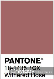 干玫瑰色適合什么膚色？干玫瑰色口紅適合黃皮嗎？