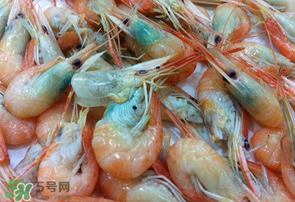 蝦變綠了能吃嗎？凍蝦變綠了能吃嗎？