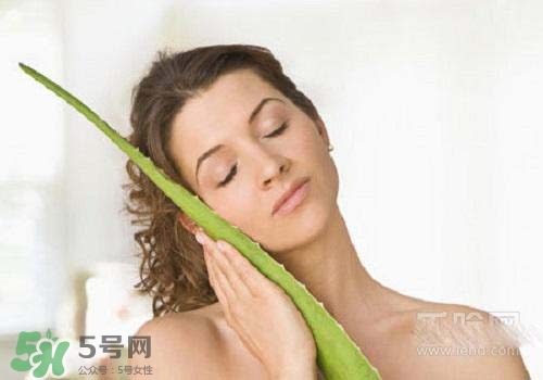 蘆薈涂在臉上發(fā)癢是怎么回事？蘆薈涂在臉上發(fā)癢怎么辦？