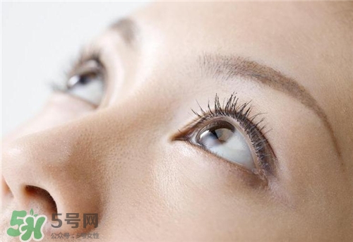 脂肪?？梢杂冕樚舻魡幔恐玖？梢宰约禾魡幔?></p><h3</div>
         			<p class=