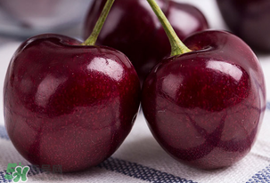 車厘子有點苦能吃嗎？車厘子車厘子怎么回事？