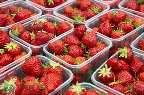 草莓爛了點(diǎn)皮可以吃嗎？草莓表皮發(fā)白是爛了嗎？