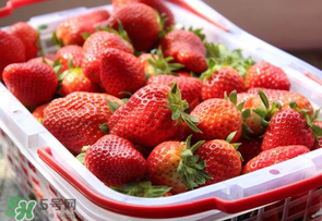 草莓爛了點(diǎn)皮可以吃嗎？草莓表皮發(fā)白是爛了嗎？