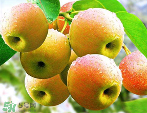 南國梨為什么有酒味？南果梨有酒味能吃嗎？