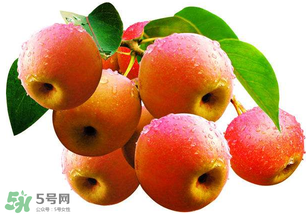 南國梨為什么有酒味？南果梨有酒味能吃嗎？