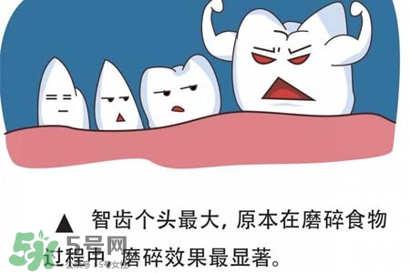 智齒經(jīng)常發(fā)炎怎么辦？智齒反復(fù)發(fā)炎腫痛怎么辦？