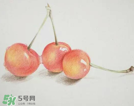 櫻桃有點苦怎么回事？櫻桃有點苦可以吃嗎？