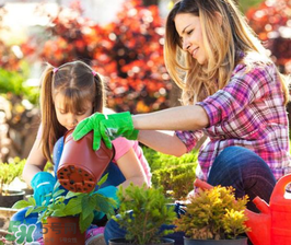 3月份適合種什么花？3月份種什么花？