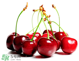 櫻桃一天吃多少合適？櫻桃一天最多吃多少？