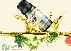 匯美舍精油和阿芙精油哪個(gè)好?有什么區(qū)別? 匯美舍精油和阿芙精油哪個(gè)好?有什么區(qū)別?