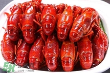 小龍蝦能過(guò)夜嗎？小龍蝦可以隔夜吃嗎？