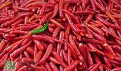 來(lái)月經(jīng)可以騎自行車嗎？來(lái)月經(jīng)可以騎車嗎？