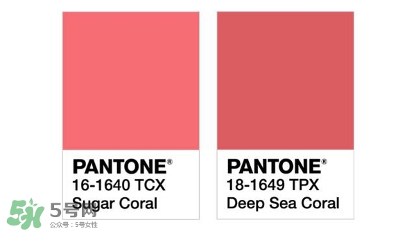 珊瑚紅口紅是什么顏色？珊瑚紅口紅試色