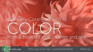 珊瑚紅口紅是什么顏色？珊瑚紅口紅試色