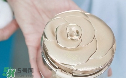 dicila蒂思嵐玫瑰蜜粉散粉怎么樣？dicila玫瑰蜜粉散粉好用嗎？