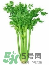 負(fù)卡路里的食物有哪些？負(fù)卡路里食物真的吃不胖嗎？
