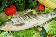 草魚能生吃嗎？草魚可以直接生吃嗎？