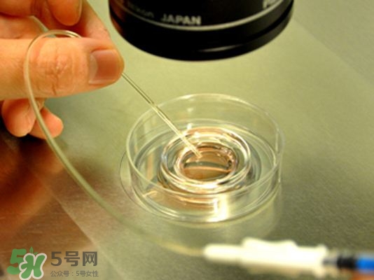 試管嬰兒的具體步驟 醫(yī)院做試管嬰兒步驟 試管嬰兒的具體步驟 醫(yī)院做試管嬰兒步驟