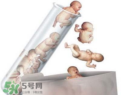 試管嬰兒性別能確定嗎 試管嬰兒可以選擇性別嗎 試管嬰兒性別能確定嗎 試管嬰兒可以選擇性別嗎