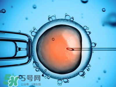 試管嬰兒性別能確定嗎 試管嬰兒可以選擇性別嗎 試管嬰兒性別能確定嗎 試管嬰兒可以選擇性別嗎