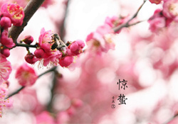 驚蟄如何養(yǎng)生？驚蟄前后如何養(yǎng)生？