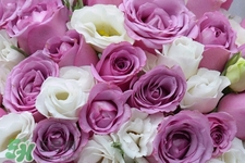 4月份適合種什么花？四月份種什么花好？