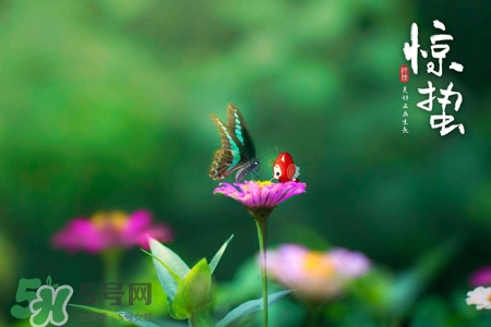 驚蟄節(jié)氣要注意什么？驚蟄節(jié)氣養(yǎng)生注意事項(xiàng)