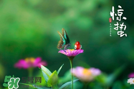 驚蟄如何養(yǎng)生？驚蟄前后如何養(yǎng)生？