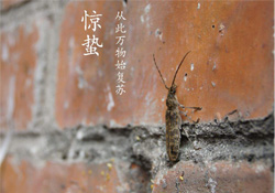 驚蟄可以去掃墓嗎？驚蟄可以去上墳嗎？