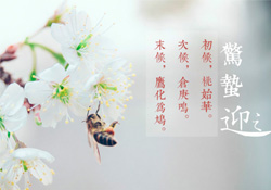 驚蟄怎么打小人？驚蟄如何打小人？