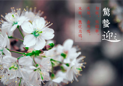 驚蟄為何要打小人？驚蟄為什么要打小人？