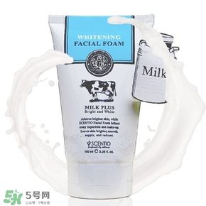 好用的洗面奶 好用的洗面奶推薦 好用的洗面奶 好用的洗面奶推薦