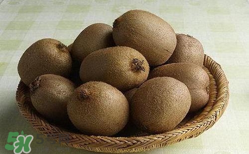 獼猴桃可以做面膜嗎？獼猴桃怎么做面膜？