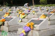 3月份可以掃墓嗎？三月份可以上墳嗎？