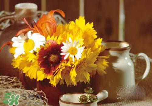 花粉過(guò)敏會(huì)遺傳嗎？花粉過(guò)敏為什么會(huì)遺傳？