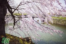 3月份能暖和嗎？一般幾月份開(kāi)始天氣變暖？