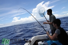 三月份可以釣魚了嗎？三月份好釣魚嗎？