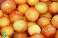 白玉櫻桃是什么？白玉櫻桃能吃嗎？