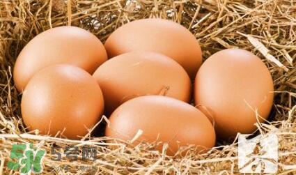 酒釀蛋真能豐胸嗎？酒釀蛋怎么吃豐胸？