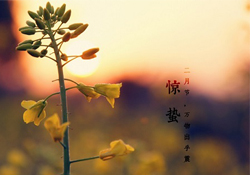 驚蟄能去廟里祈福嗎？驚蟄要去廟里祈福嗎？