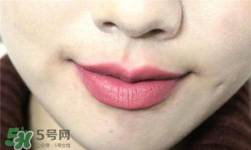 蘭蔻菁純唇膏295試色 蘭蔻絲絨唇膏295試色圖 蘭蔻菁純唇膏295試色 蘭蔻絲絨唇膏295試色圖