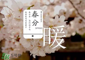 春分種什么菜？春分適合種什么菜？