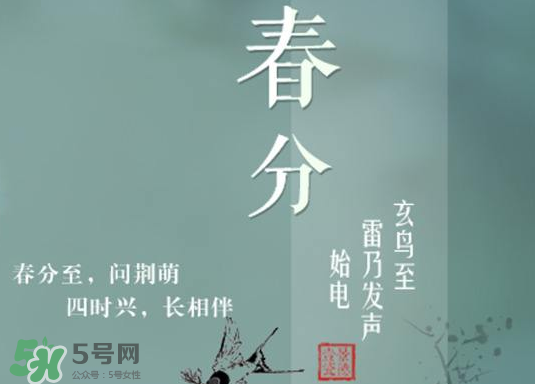 春分種什么菜？春分適合種什么菜？